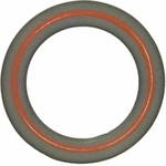 Order Water Pump Mounting Gasket by FEL-PRO - 35619 For Your Vehicle