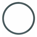 Order Water Pump Mounting Gasket by FEL-PRO - 35691 For Your Vehicle