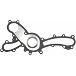 Order Water Pump Mounting Gasket by FEL-PRO - 35807 For Your Vehicle