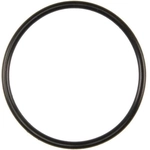 Order Water Pump Mounting Gasket by FEL-PRO - 35875 For Your Vehicle