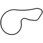 Order Water Pump Mounting Gasket by FEL-PRO - 35884 For Your Vehicle