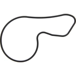 Order Water Pump Mounting Gasket by FEL-PRO - 35884 For Your Vehicle
