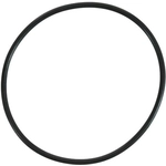 Order Water Pump Mounting Gasket by FEL-PRO - 35970 For Your Vehicle