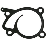 Order Water Pump Mounting Gasket by FEL-PRO - 36073 For Your Vehicle