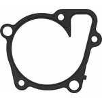 Order Water Pump Mounting Gasket by FEL-PRO - 36191 For Your Vehicle