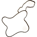 Order Water Pump Mounting Gasket by MOPAR - 68394131AA For Your Vehicle