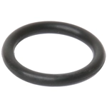 Order Water Pump Mounting Gasket by URO - 11531710055 For Your Vehicle