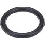 Order Water Pump Mounting Gasket by URO - 11531710055 For Your Vehicle