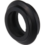 Order Water Pump Mounting Gasket by URO - AJ811539 For Your Vehicle