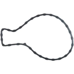 Order Water Pump Mounting Gasket by VICTOR REINZ - 71-12867-00 For Your Vehicle