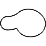Order Water Pump Mounting Gasket by VICTOR REINZ - 71-13912-00 For Your Vehicle