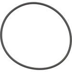 Order Water Pump Mounting Gasket by VICTOR REINZ - 71-14046-00 For Your Vehicle