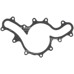 Order Water Pump Mounting Gasket by VICTOR REINZ - 71-14669-00 For Your Vehicle