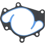 Order Water Pump Mounting Gasket by VICTOR REINZ - 71-15102-00 For Your Vehicle