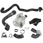 Order Water Pump Seal Kit by CRP/REIN - WPU0507 For Your Vehicle