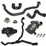 Order Water Pump Seal Kit by CRP/REIN - WPS0509 For Your Vehicle