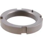 Order DANA SPICER - 21588X - Spindle Nut For Your Vehicle