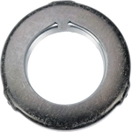 Order DORMAN/AUTOGRADE - 615-979 - Spindle Nut For Your Vehicle