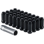 Order WEST COAST WHEEL ACCESSORIES - W5842STB - Wheel Lug Nut For Your Vehicle