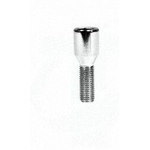 Purchase Wheel Lug Bolt (Pack of 10) by TRANSIT WAREHOUSE - CRM172A55