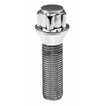 Purchase Wheel Lug Bolt (Pack of 10) by TRANSIT WAREHOUSE - CRM41805L