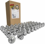 Order COYOTE WHEEL ACCESSORIES - 581144 - Lug Nuts For Your Vehicle