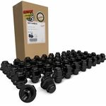 Order COYOTE WHEEL ACCESSORIES - 581144BLK - Lug Nuts For Your Vehicle