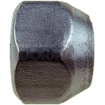 Order Wheel Lug Nut (Pack of 10) by DORMAN/AUTOGRADE - 611-065 For Your Vehicle