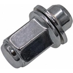 Purchase DORMAN/AUTOGRADE - 611-167 - Wheel Lug Nut (Pack of 10)
