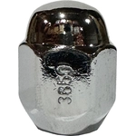 Order Wheel Lug Nut by FMSI AUTOMOTIVE HARDWARE - 3850-10 For Your Vehicle