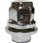Order FMSI AUTOMOTIVE HARDWARE - 3861-25 - Wheel Lug Nut For Your Vehicle