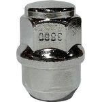 Order Wheel Lug Nut by FMSI AUTOMOTIVE HARDWARE - 3880-10 For Your Vehicle