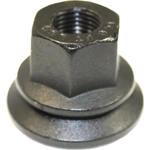 Order Wheel Lug Nut by FMSI AUTOMOTIVE HARDWARE - 6116-25 For Your Vehicle