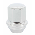Purchase Wheel Lug Nut (Pack of 10) by TRANSIT WAREHOUSE - CRM-N1710