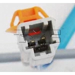 Order Window Reg With Motor by TYC - 660119 For Your Vehicle