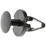 Order DORMAN/AUTOGRADE - 700-049 - Drive Type Rivet For Your Vehicle