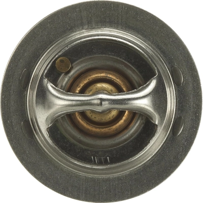 GATES - 34238 - 190f/88c Thermostat pa6