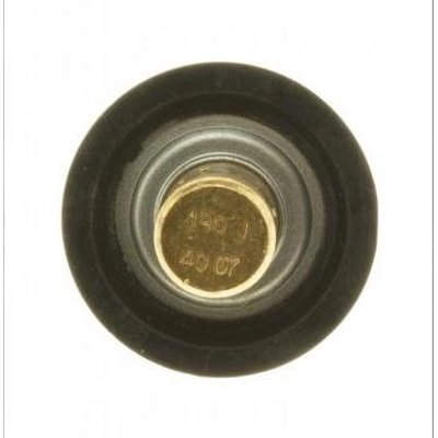 190f/88c Thermostat by MOTORAD - 821-190 pa6