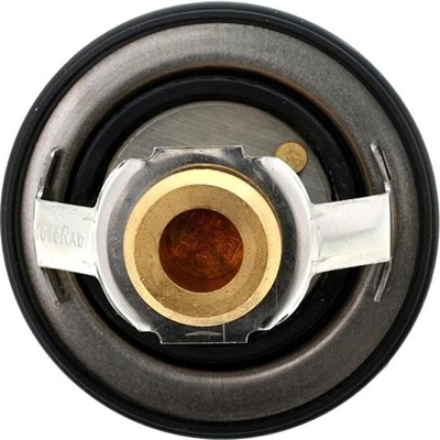 192f/89c Thermostat by MOTORAD - 923-192 pa16