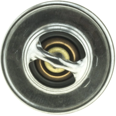 195f/91c Thermostat by MOTORAD - 229-195 pa4