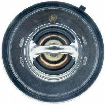 195f/91c Thermostat by MOTORAD - 7420-195 pa4