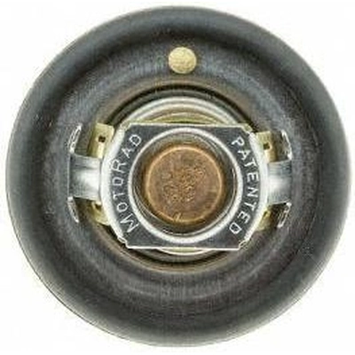 198f/92c Thermostat by MOTORAD - 7333-198 pa6