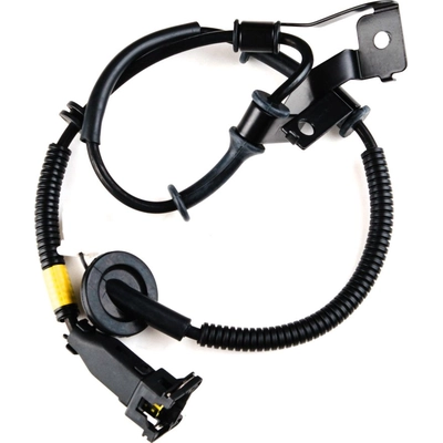 HOLSTEIN - 2ABS0666 - ABS Wheel Speed Sensor Wiring Harness pa4