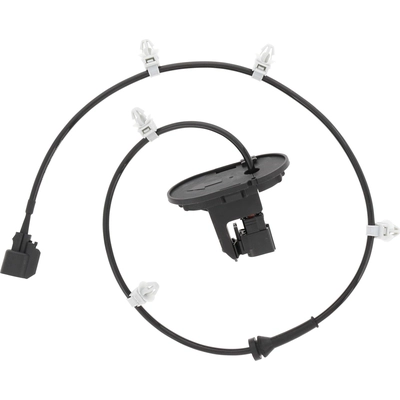 HOLSTEIN - 2ABS5075 - ABS Wheel Speed Sensor Wiring Harness pa1