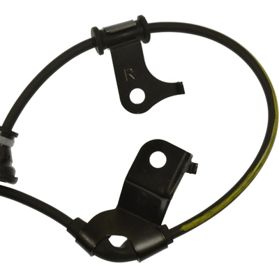 STANDARD - PRO SERIES - ALH33 - Rear Passenger Side ABS Speed Sensor Wire Harness pa4