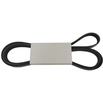 CROWN AUTOMOTIVE JEEP REPLACEMENT - 53034095AA - Serpentine Belt pa1