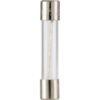 Accessory Fuse by BUSSMANN - AGC10 pa2