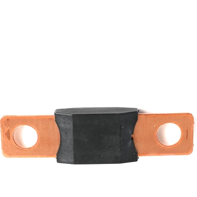 Accessory Fuse by BUSSMANN - AMG100 pa12