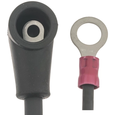 BLUE STREAK (HYGRADE MOTOR) - A16-4L - Switch To Starter Cable pa1