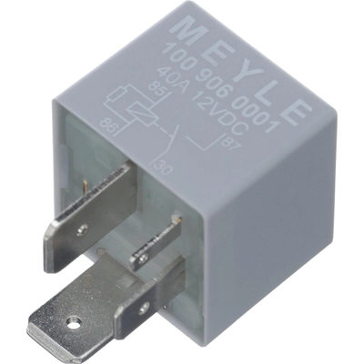 STANDARD - PRO SERIES - RY494 - Fuel Injection Relay pa9